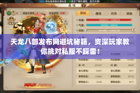 天龙八部发布网避坑秘籍,资深玩家教你挑对私服不踩雷! 天龙八部发布网避坑秘籍,资深玩家教你挑对私服不踩雷!