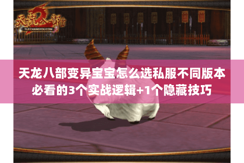 天龙八部变异宝宝怎么选私服不同版本必看的3个实战逻辑+1个隐藏技巧 天龙八部变异宝宝怎么选私服不同版本必看的3个实战逻辑+1个隐藏技巧