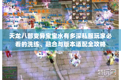 天龙八部变异宝宝水有多深私服玩家必看的洗练、融合与版本适配全攻略 天龙八部变异宝宝水有多深私服玩家必看的洗练、融合与版本适配全攻略