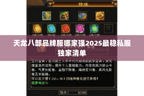 天龙八部品牌服哪家强2025最稳私服独家清单 天龙八部品牌服哪家强2025最稳私服独家清单