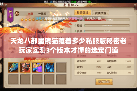 天龙八部墨镜猫藏着多少私服版秘密老玩家实测3个版本才懂的选宠门道 天龙八部墨镜猫藏着多少私服版秘密老玩家实测3个版本才懂的选宠门道