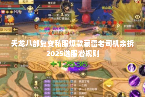 天龙八部复变私服爆款藏雷老司机亲拆2025选服潜规则 天龙八部复变私服爆款藏雷老司机亲拆2025选服潜规则