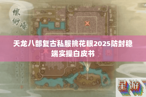 天龙八部复古私服挑花眼2025防封稳端实操白皮书 天龙八部复古私服挑花眼2025防封稳端实操白皮书