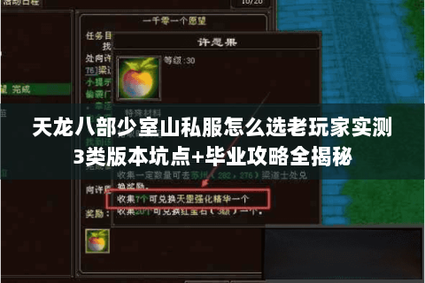 天龙八部少室山私服怎么选老玩家实测3类版本坑点+毕业攻略全揭秘 天龙八部少室山私服怎么选老玩家实测3类版本坑点+毕业攻略全揭秘