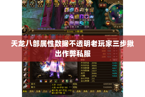 天龙八部属性数据不透明老玩家三步揪出作弊私服 天龙八部属性数据不透明老玩家三步揪出作弊私服