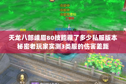 天龙八部峨眉80技能藏了多少私服版本秘密老玩家实测3类服的伤害差距