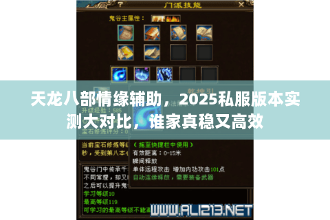 天龙八部情缘辅助,2025私服版本实测大对比,谁家真稳又高效 天龙八部情缘辅助,2025私服版本实测大对比,谁家真稳又高效