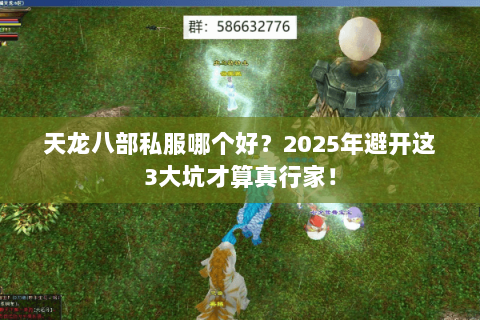 天龙八部私服哪个好?2025年避开这3大坑才算真行家! 天龙八部私服哪个好?2025年避开这3大坑才算真行家!