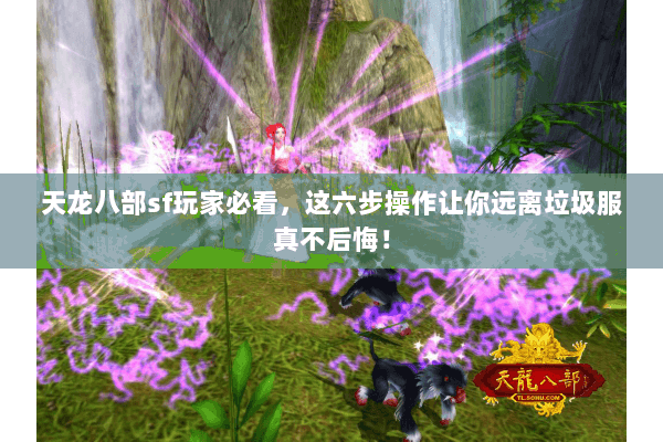 天龙八部sf玩家必看，这六步操作让你远离垃圾服真不后悔！