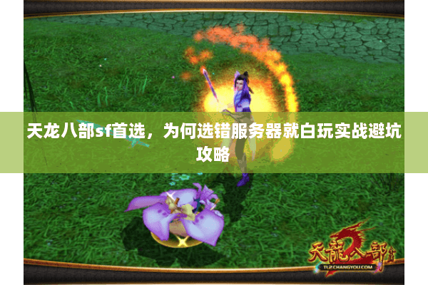 天龙八部sf首选，为何选错服务器就白玩实战避坑攻略