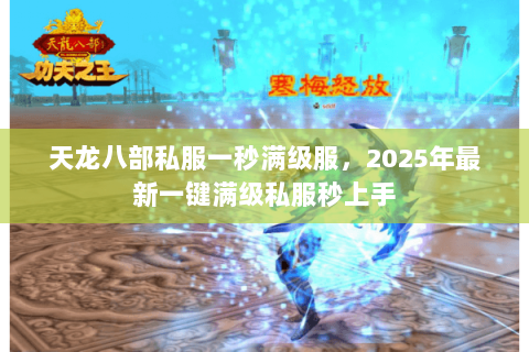 天龙八部私服一秒满级服,2025年最新一键满级私服秒上手 天龙八部私服一秒满级服,2025年最新一键满级私服秒上手