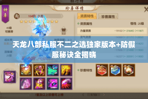 天龙八部私服不二之选独家版本+防假服秘诀全揭晓 天龙八部私服不二之选独家版本+防假服秘诀全揭晓