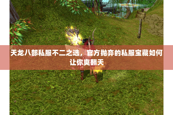 天龙八部私服不二之选,官方抛弃的私服宝藏如何让你爽翻天 天龙八部私服不二之选,官方抛弃的私服宝藏如何让你爽翻天