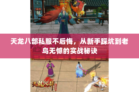 天龙八部私服不后悔,从新手踩坑到老鸟无憾的实战秘诀 天龙八部私服不后悔,从新手踩坑到老鸟无憾的实战秘诀