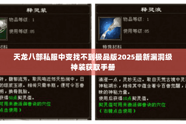 天龙八部私服中变找不到极品版2025最新漏洞级神装获取手册 天龙八部私服中变找不到极品版2025最新漏洞级神装获取手册