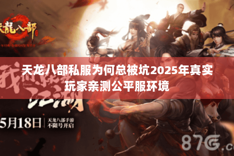 天龙八部私服为何总被坑2025年真实玩家亲测公平服环境