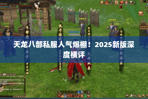 天龙八部私服人气爆棚!2025新版深度横评 天龙八部私服人气爆棚!2025新版深度横评