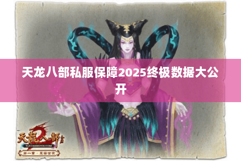 天龙八部私服保障2025终极数据大公开 天龙八部私服保障2025终极数据大公开