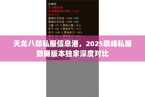 天龙八部私服信息港,2025巅峰私服数据版本独家深度对比 天龙八部私服信息港,2025巅峰私服数据版本独家深度对比