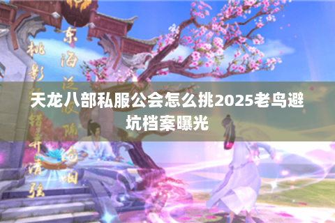 天龙八部私服公会怎么挑2025老鸟避坑档案曝光 天龙八部私服公会怎么挑2025老鸟避坑档案曝光
