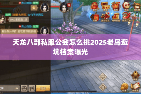 天龙八部私服公会怎么挑2025老鸟避坑档案曝光 天龙八部私服公会怎么挑2025老鸟避坑档案曝光