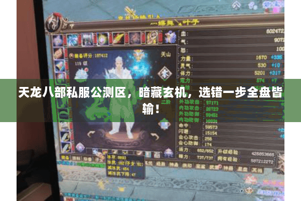 天龙八部私服公测区,暗藏玄机,选错一步全盘皆输! 天龙八部私服公测区,暗藏玄机,选错一步全盘皆输!