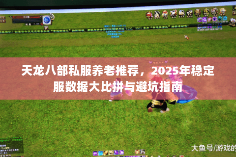 天龙八部私服养老推荐,2025年稳定服数据大比拼与避坑指南 天龙八部私服养老推荐,2025年稳定服数据大比拼与避坑指南