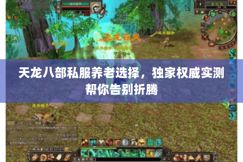 天龙八部私服养老选择,独家权威实测帮你告别折腾 天龙八部私服养老选择,独家权威实测帮你告别折腾