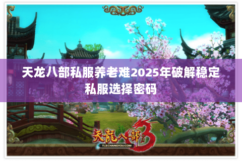 天龙八部私服养老难2025年破解稳定私服选择密码 天龙八部私服养老难2025年破解稳定私服选择密码