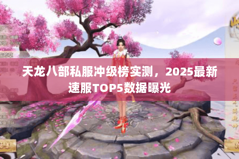 天龙八部私服冲级榜实测,2025最新速服TOP5数据曝光 天龙八部私服冲级榜实测,2025最新速服TOP5数据曝光
