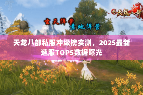天龙八部私服冲级榜实测,2025最新速服TOP5数据曝光 天龙八部私服冲级榜实测,2025最新速服TOP5数据曝光