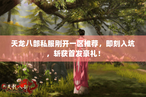 天龙八部私服刚开一区推荐,即刻入坑,斩获首发豪礼! 天龙八部私服刚开一区推荐,即刻入坑,斩获首发豪礼!