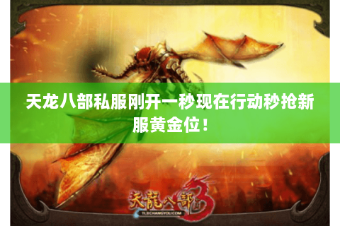 天龙八部私服刚开一秒现在行动秒抢新服黄金位! 天龙八部私服刚开一秒现在行动秒抢新服黄金位!