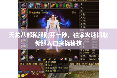 天龙八部私服刚开一秒,独家火速抓取新服入口实战秘技 天龙八部私服刚开一秒,独家火速抓取新服入口实战秘技