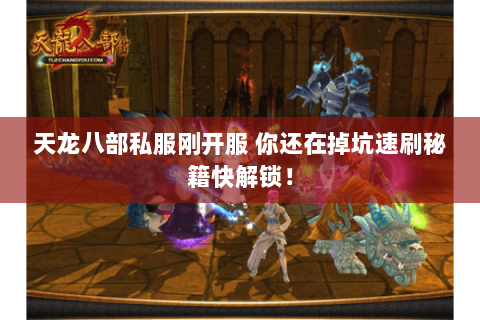 天龙八部私服刚开服 你还在掉坑速刷秘籍快解锁! 天龙八部私服刚开服 你还在掉坑速刷秘籍快解锁!