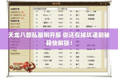 天龙八部私服刚开服 你还在掉坑速刷秘籍快解锁! 天龙八部私服刚开服 你还在掉坑速刷秘籍快解锁!