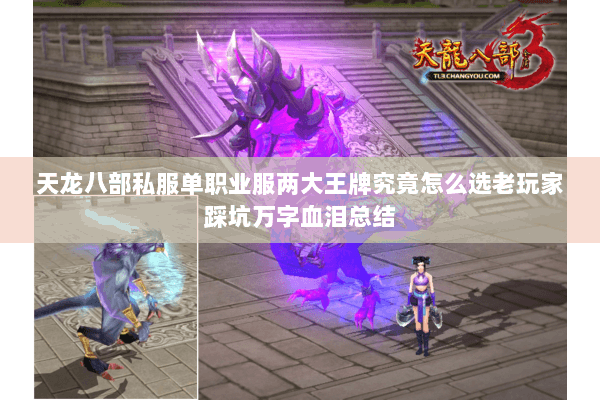 天龙八部私服单职业服两大王牌究竟怎么选老玩家踩坑万字血泪总结 天龙八部私服单职业服两大王牌究竟怎么选老玩家踩坑万字血泪总结