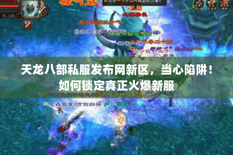 天龙八部私服发布网新区，当心陷阱！如何锁定真正火爆新服