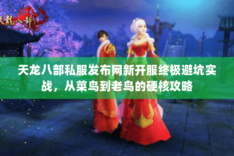 天龙八部私服发布网新开服终极避坑实战,从菜鸟到老鸟的硬核攻略 天龙八部私服发布网新开服终极避坑实战,从菜鸟到老鸟的硬核攻略