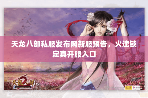 天龙八部私服发布网新服预告，火速锁定真开服入口