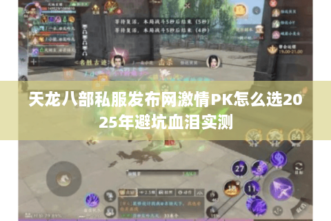天龙八部私服发布网激情PK怎么选2025年避坑血泪实测 天龙八部私服发布网激情PK怎么选2025年避坑血泪实测