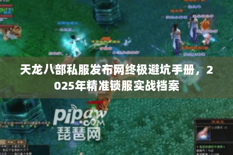 天龙八部私服发布网终极避坑手册,2025年精准锁服实战档案 天龙八部私服发布网终极避坑手册,2025年精准锁服实战档案