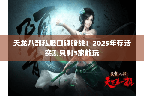 天龙八部私服口碑暗战！2025年存活实测只剩3家能玩
