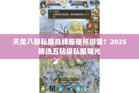 天龙八部私服品牌服硬核排雷!2025精选五钻级私服曝光 天龙八部私服品牌服硬核排雷!2025精选五钻级私服曝光
