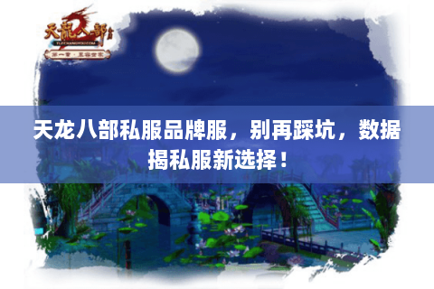 天龙八部私服品牌服,别再踩坑,数据揭私服新选择! 天龙八部私服品牌服,别再踩坑,数据揭私服新选择!