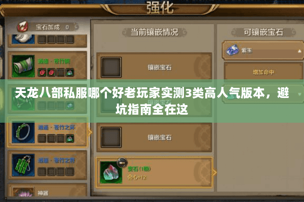 天龙八部私服哪个好老玩家实测3类高人气版本,避坑指南全在这 天龙八部私服哪个好老玩家实测3类高人气版本,避坑指南全在这