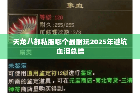 天龙八部私服哪个最耐玩2025年避坑血泪总结 天龙八部私服哪个最耐玩2025年避坑血泪总结