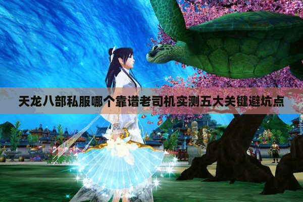 天龙八部私服哪个靠谱老司机实测五大关键避坑点