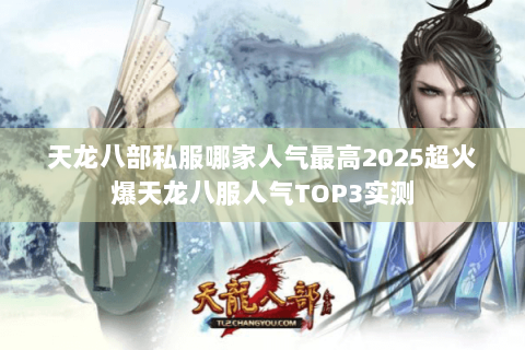 天龙八部私服哪家人气最高2025超火爆天龙八服人气TOP3实测 天龙八部私服哪家人气最高2025超火爆天龙八服人气TOP3实测