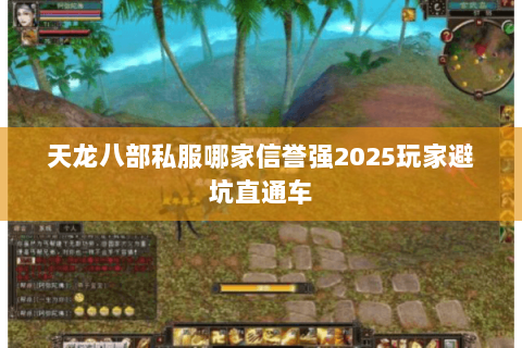 天龙八部私服哪家信誉强2025玩家避坑直通车